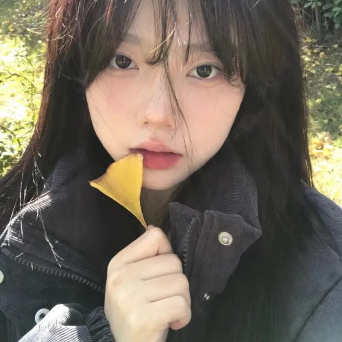 小松鼠